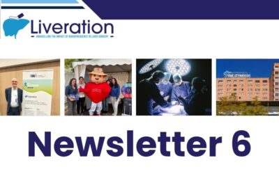 LIVERATION Newsletter 6 is now available
