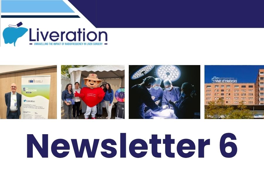 LIVERATION Newsletter 6 is now available